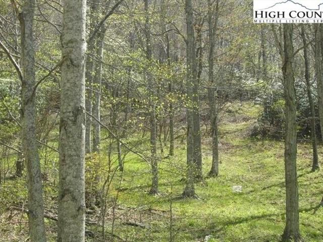 Land for sale in Boone