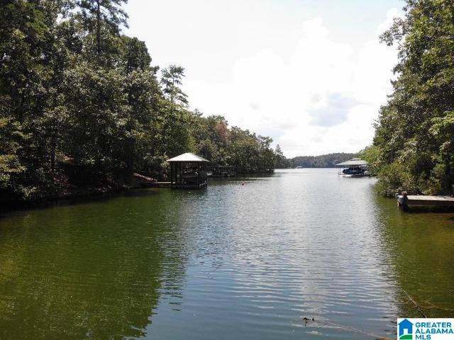 Land for sale in Wedowee, Alabama