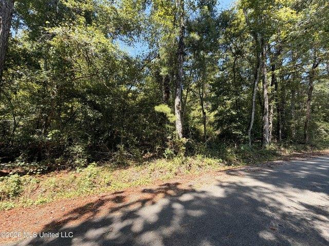 Land for sale in Lucedale, Mississippi