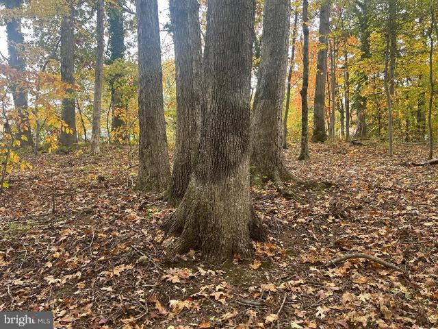 Land for sale in Oxon Hill, Maryland