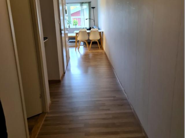 Lägenhet hyra i Skellefteå, Västerbotten