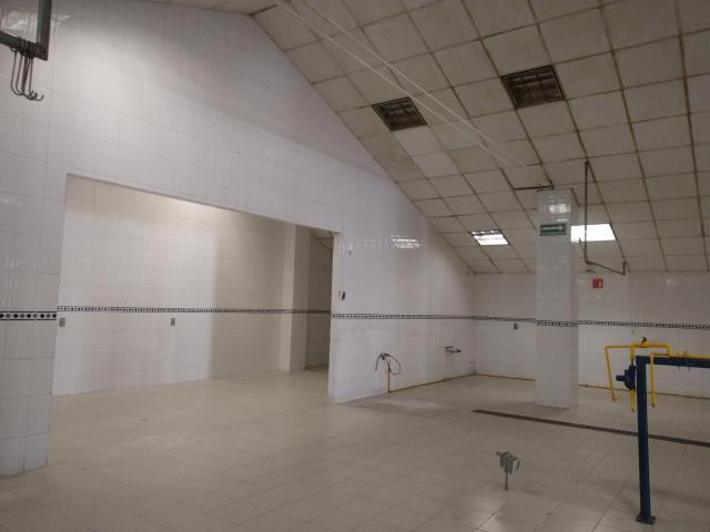 Nave Industrial en renta en Metepec, Estado de México
