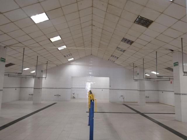 Nave Industrial en renta en Metepec, Estado de México