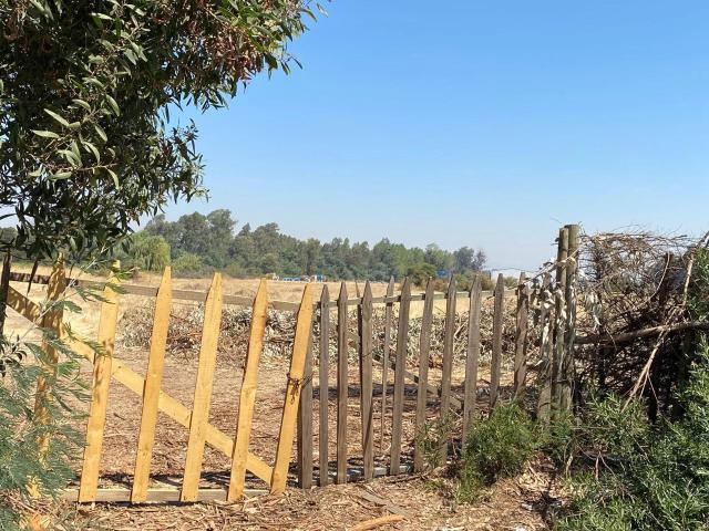 Bodega en Maule