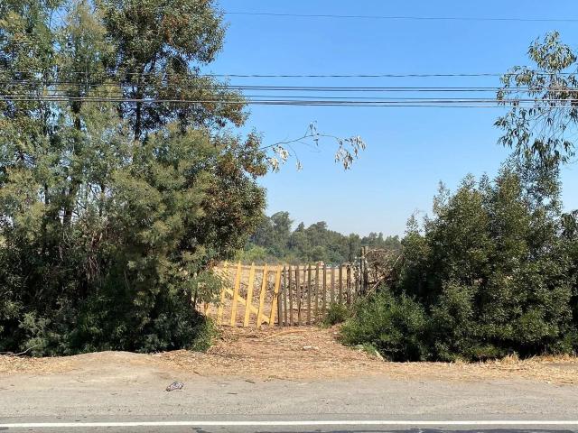 Bodega en Maule