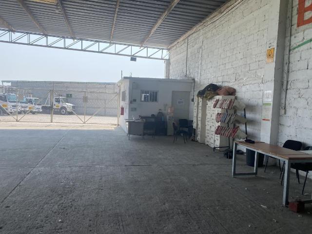 Naves Industriales en renta en Amatlán De Los Reyes