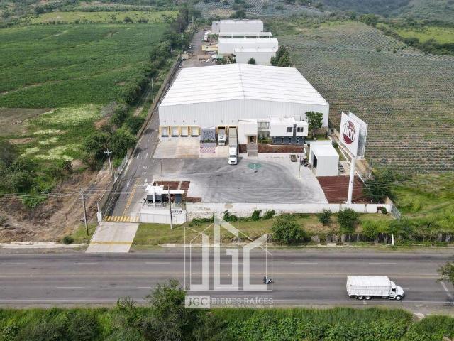 Terreno en renta en Tala, Jalisco