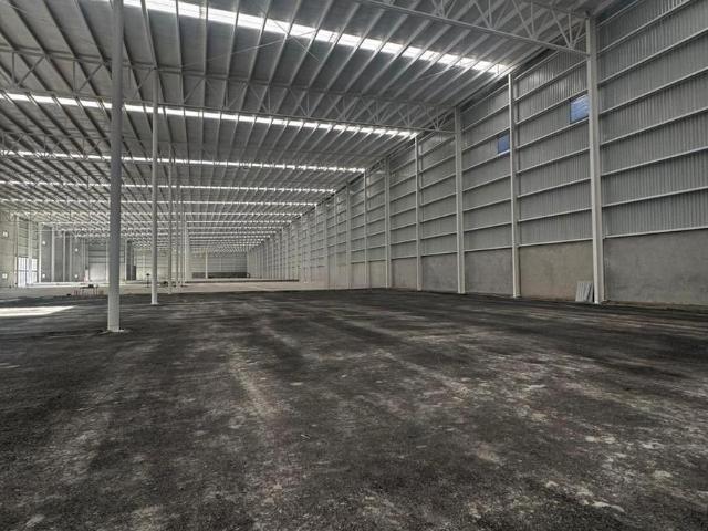 Nave Industrial en renta en Montemorelos, Nuevo León