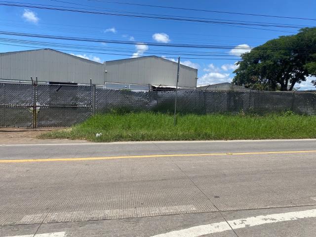 Terreno en renta en Coatepec, Veracruz