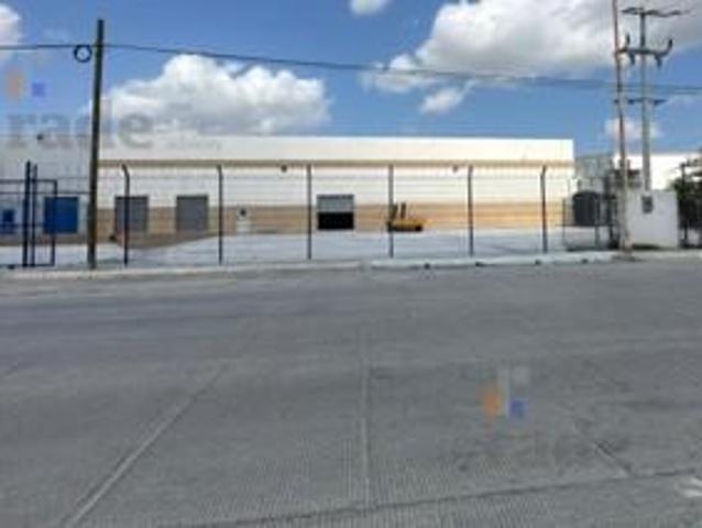 Terreno en renta en Reynosa, Tamaulipas