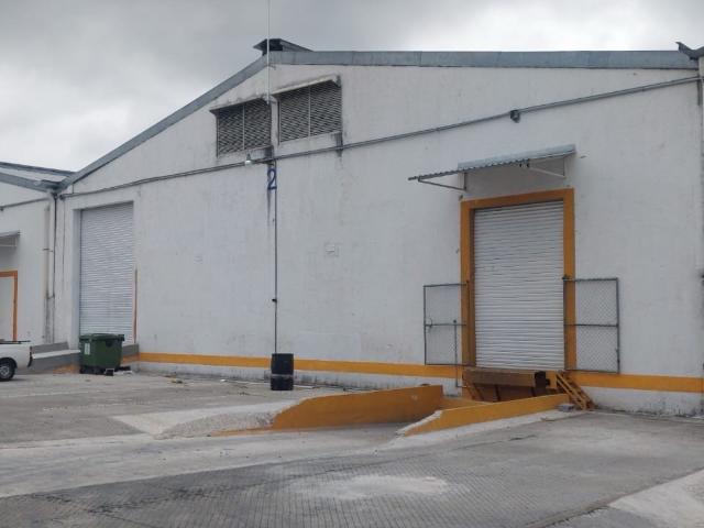 Terreno en renta en Xalapa, Veracruz