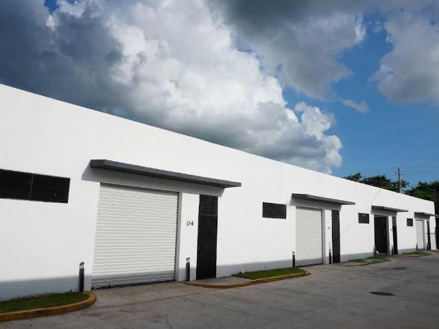 Nave Industrial en renta en Colonia Los Limones, Chicxulub Pueblo