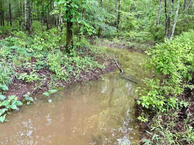 Land for sale in Scooba, Mississippi