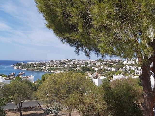 Bodrum, Muğla içerisinde satılık mülk