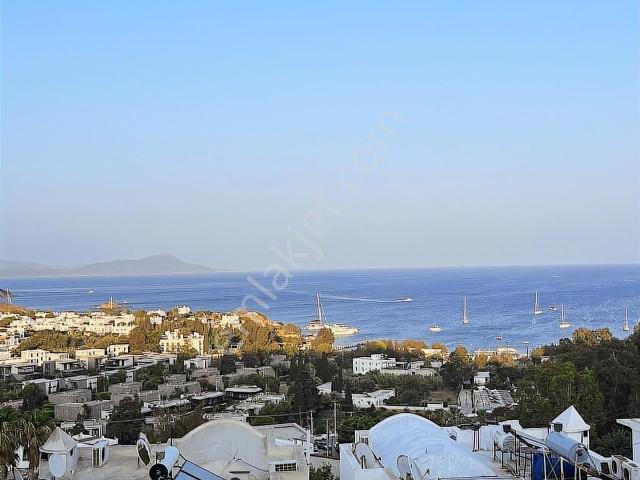 Bodrum, Muğla içerisinde satılık mülk