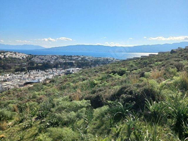Bodrum, Muğla içerisinde satılık Bina