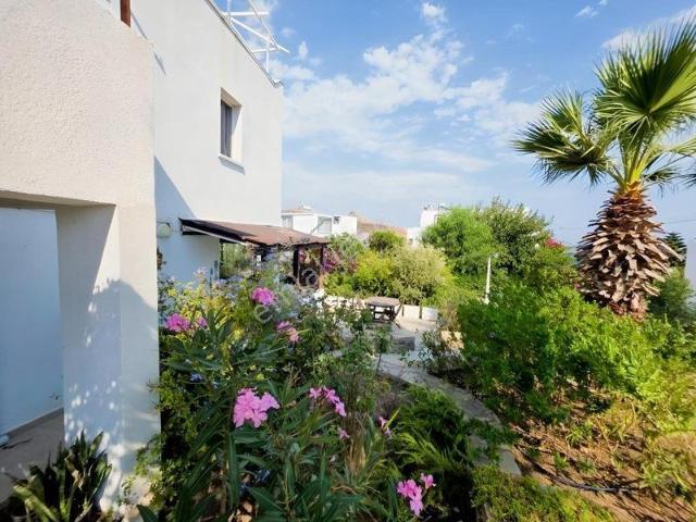 Bağla Sitesi, Bodrum içerisinde kiralık mülk