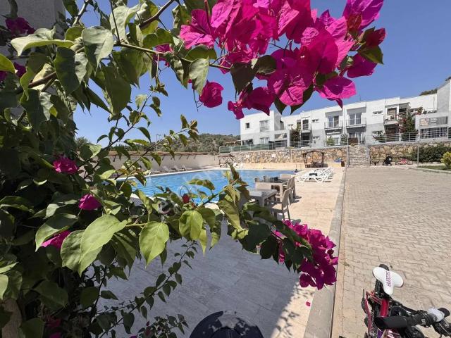 Milas, Muğla içerisinde satılık mülk