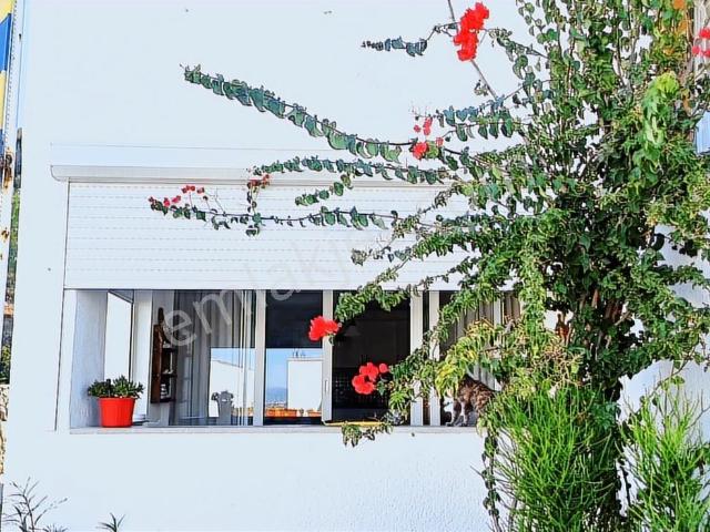 Bodrum içerisinde kiralık mülk