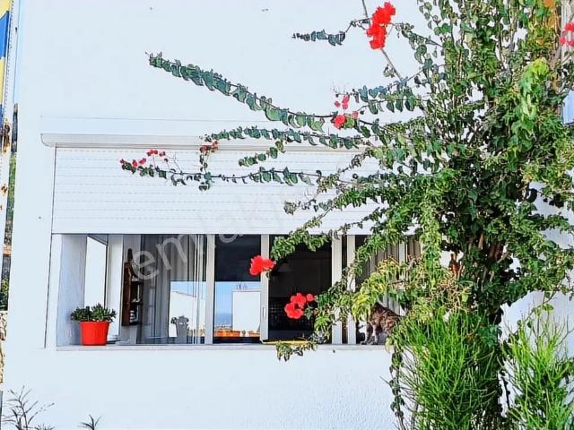 Bodrum, Muğla içerisinde kiralık mülk