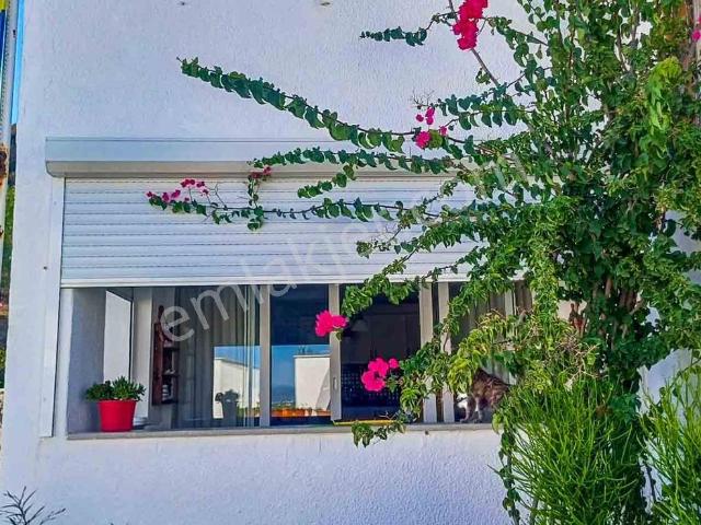 Bodrum, Muğla içerisinde satılık mülk