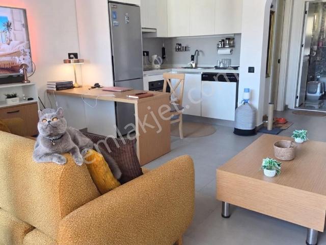 Bitez, Bodrum içerisinde kiralık mülk