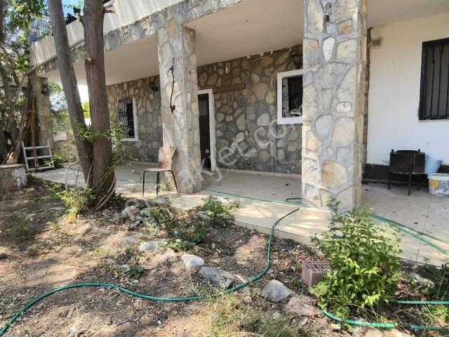 Bodrum, Muğla içerisinde kiralık mülk