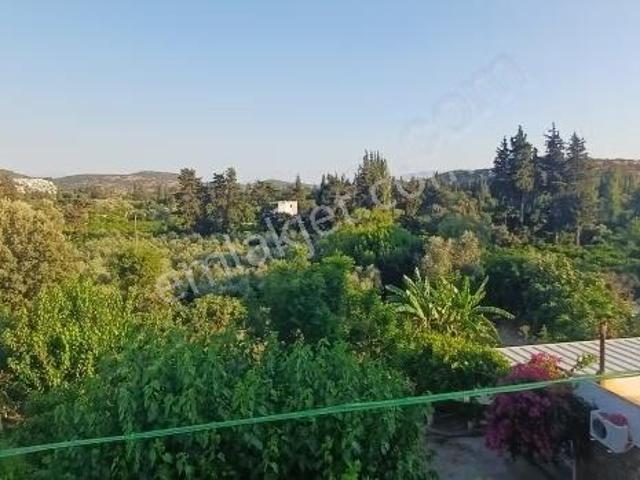 Bodrum, Muğla içerisinde kiralık mülk