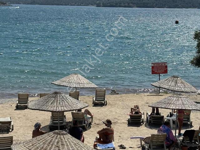 Milas, Muğla içerisinde satılık mülk