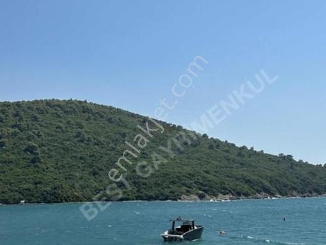 Milas, Muğla içerisinde satılık mülk