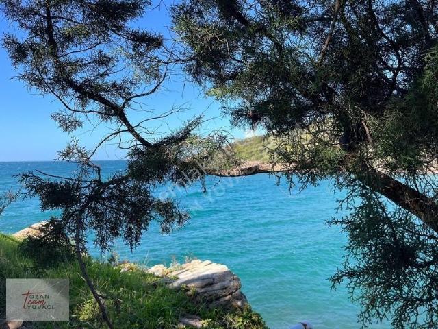 Milas, Muğla içerisinde satılık Villa