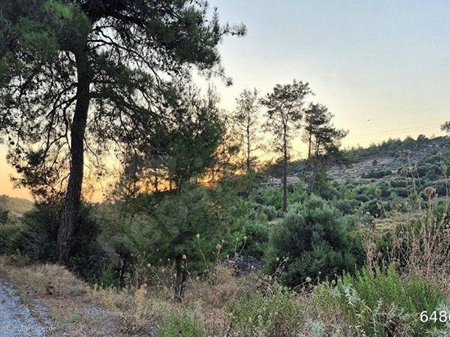 Bodrum, Muğla içerisinde satılık Arsa