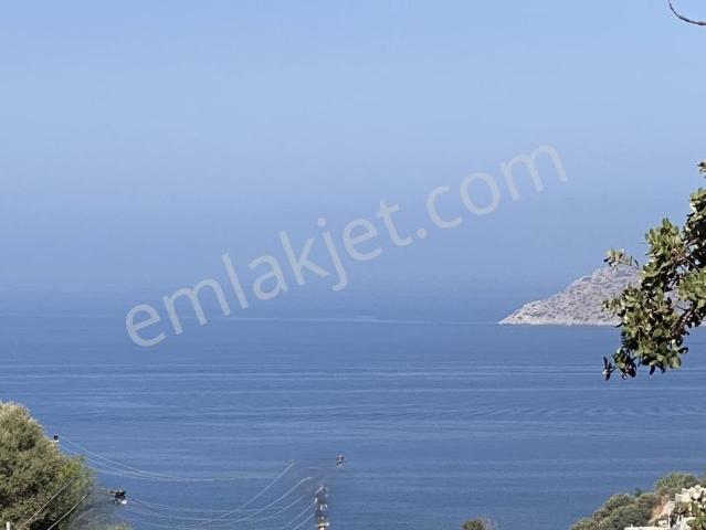 Bodrum, Muğla içerisinde satılık Villa
