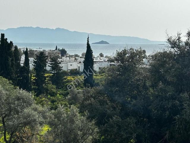 Bodrum, Muğla içerisinde satılık Villa
