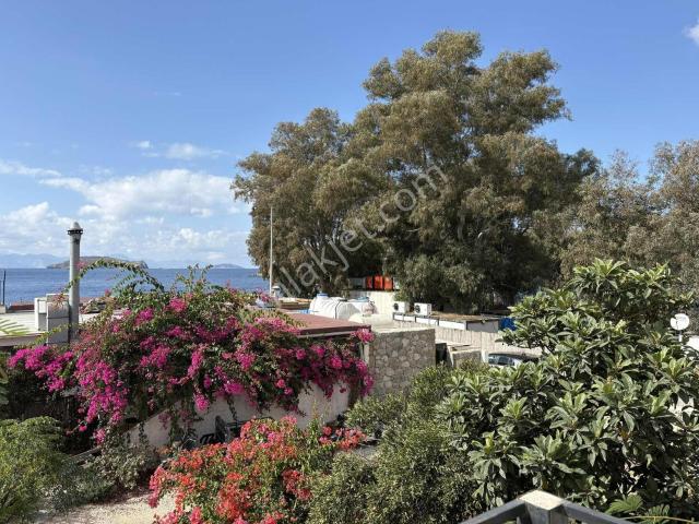 Gümüşlük, Bodrum içerisinde kiralık mülk