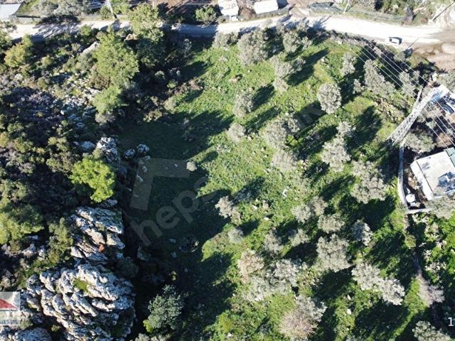 Bodrum, Muğla içerisinde satılık Arsa
