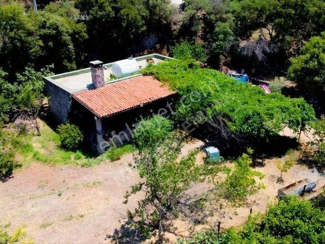 Gürece, Bodrum içerisinde satılık Fabrika