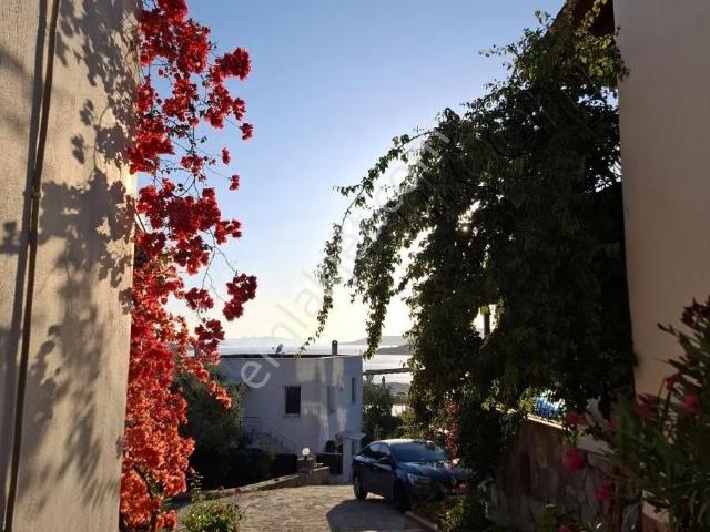 Bodrum, Muğla içerisinde kiralık Villa