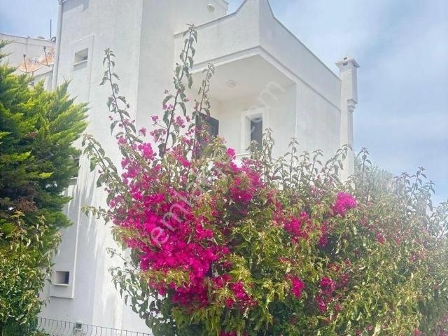 Bodrum, Muğla içerisinde kiralık Villa