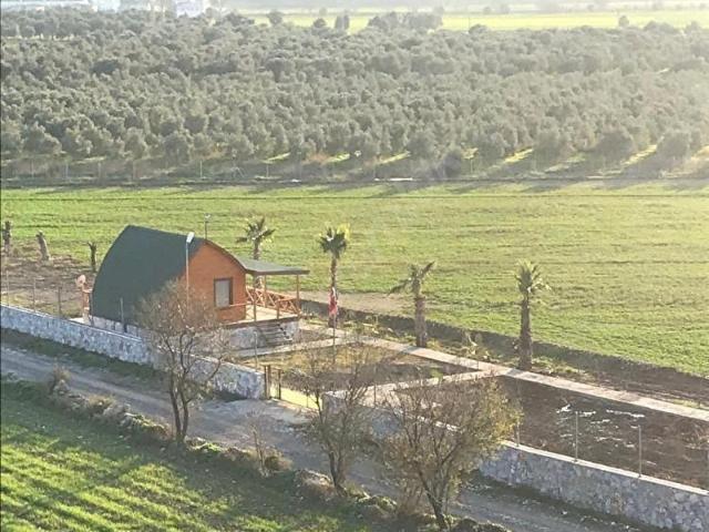 Milas, Muğla içerisinde satılık Arsa