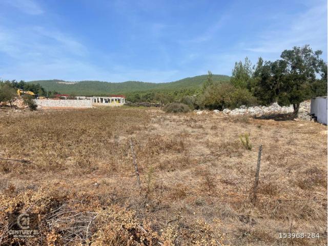 Kumköy, Bodrum içerisinde satılık mülk
