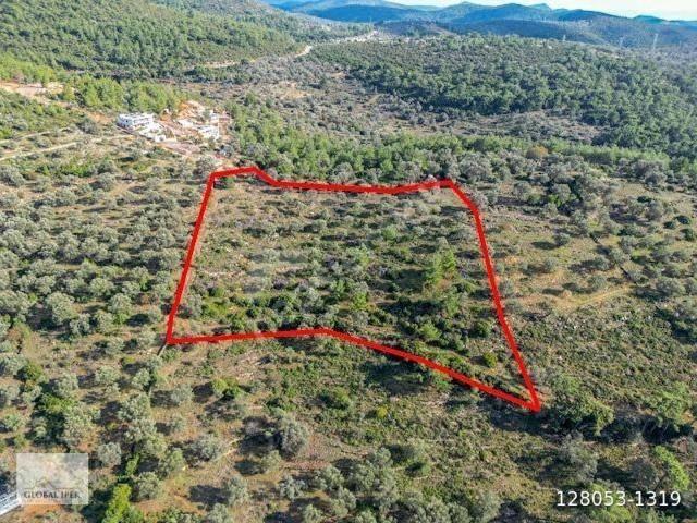 Bodrum, Muğla içerisinde satılık Arsa