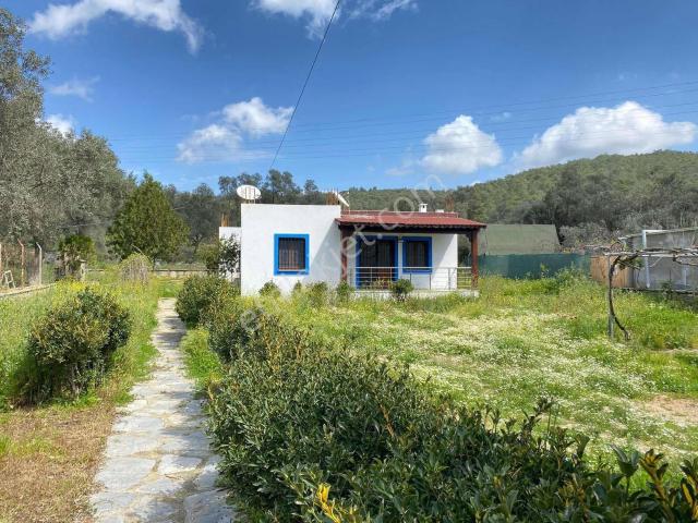 Bodrum, Muğla içerisinde kiralık Villa