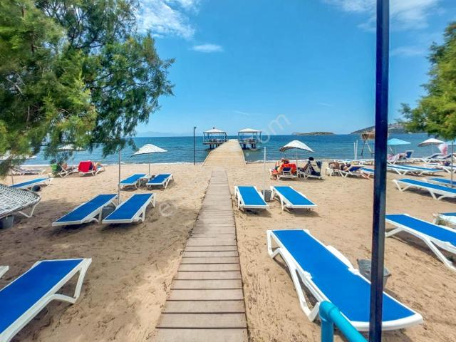 Bodrum, Muğla içerisinde kiralık mülk