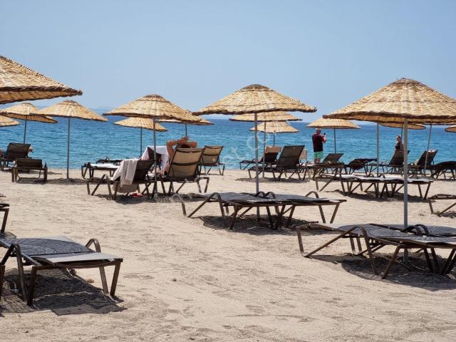 Bodrum içerisinde satılık mülk
