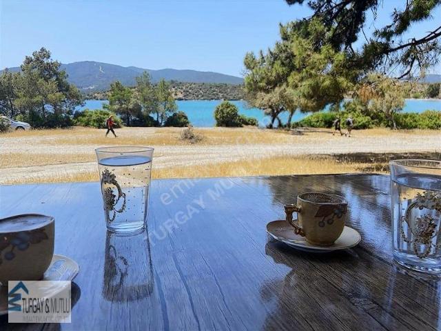 Gürçamlar, Milas içerisinde kiralık Villa