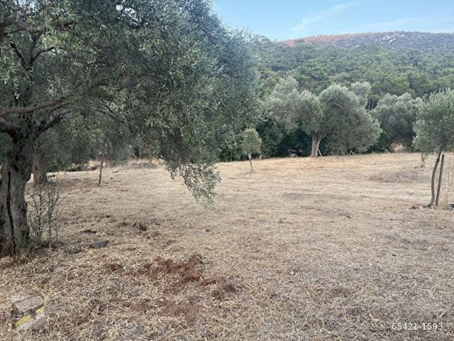 Bodrum, Muğla içerisinde satılık Arsa
