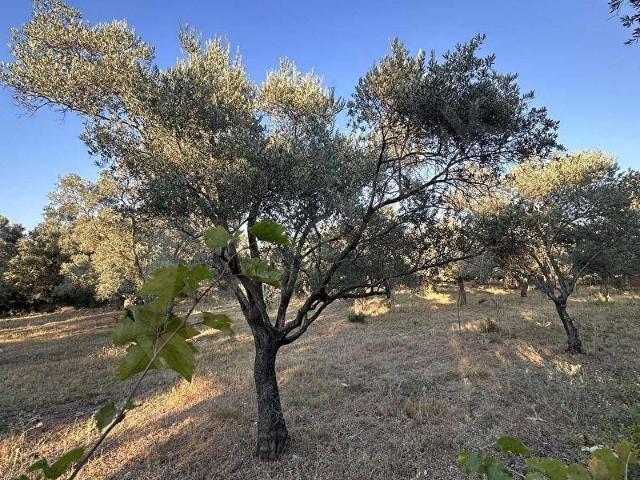 Bodrum, Muğla içerisinde satılık Arsa
