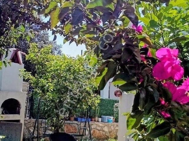 Bodrum, Muğla içerisinde kiralık mülk