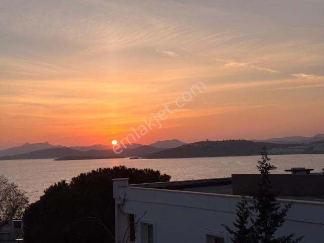 Bodrum, Muğla içerisinde satılık mülk